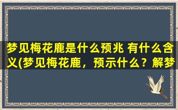 梦见梅花鹿是什么预兆 有什么含义(梦见梅花鹿，预示什么？解梦大揭秘！)